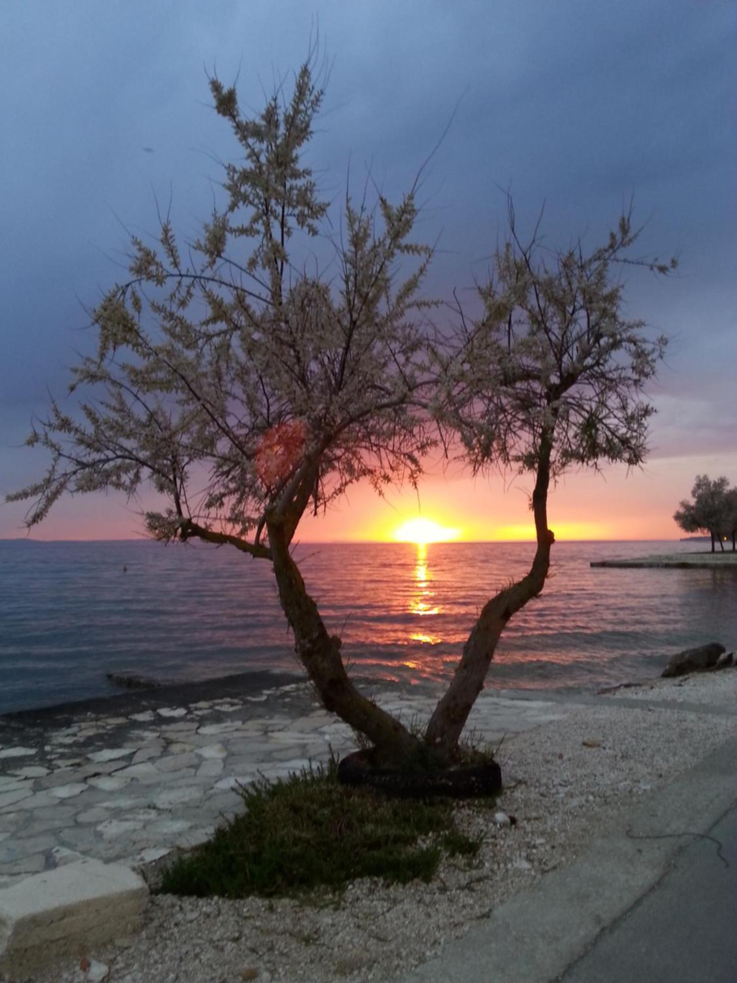 Apartmani Basioli Ζαντάρ Εξωτερικό φωτογραφία